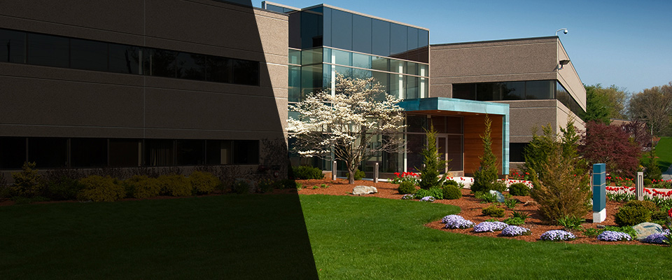 Ardmore Landscapers