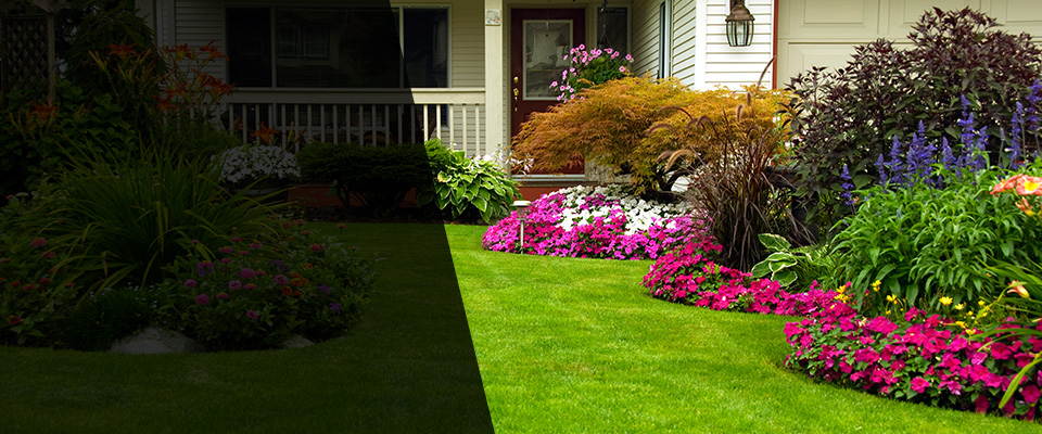 Ardmore Landscapers